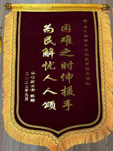 容婆婆亲手为人大代表区燕明送来的锦旗_副本.jpg
