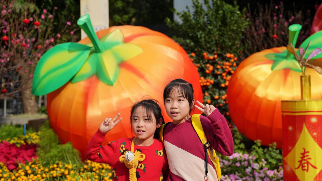 2024 Spring Festival Flower Market in Guangzhou: largest peach tree and kumquat tree on exhibition