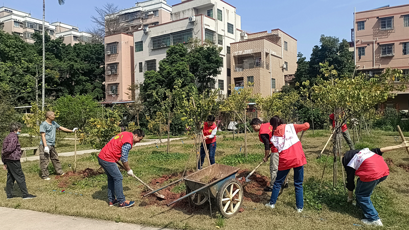 图1：花地街道人大联组代表在花地文化活动中心种植杨桃树_副本.jpg