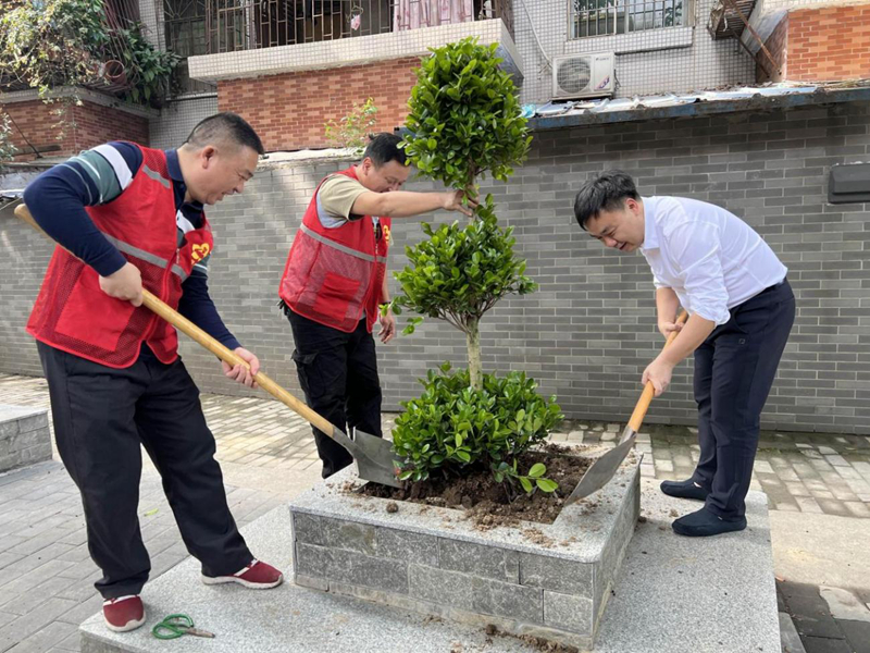 图2：花地街道联组人大代表在中市社区“口袋”公园种植树苗_副本.jpg