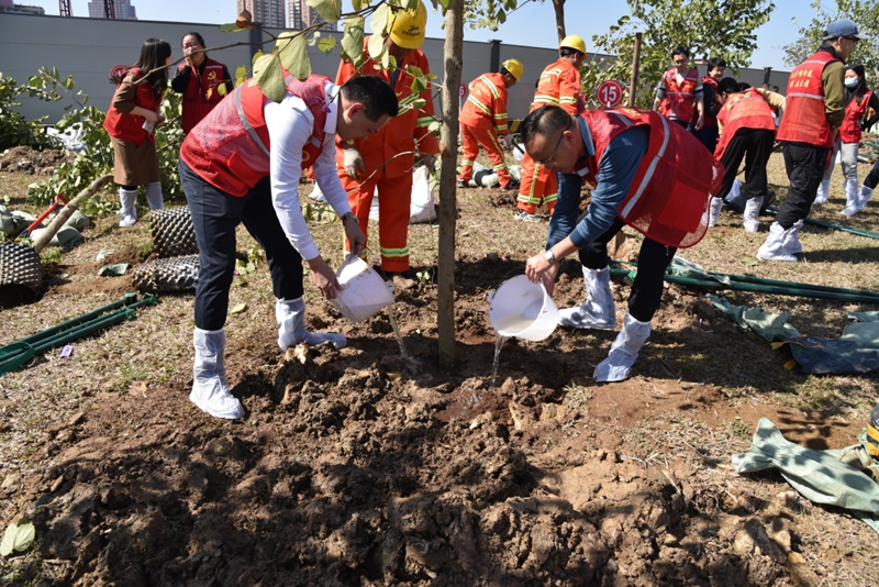 区人大代表黄健明植树活动现场_副本.png