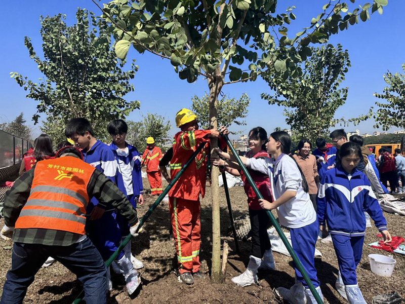 植树活动现场_副本.jpg