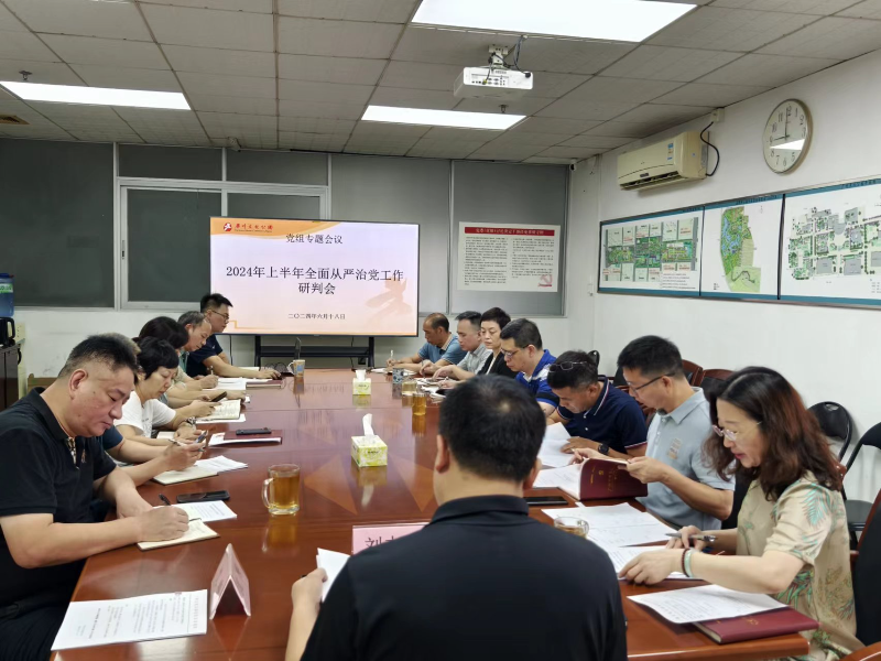 0618全面从严治党工作研判会照片.jpg