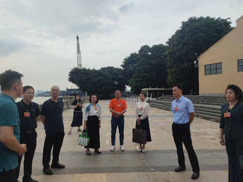 (图:人大代表视察珠江后航道)(1).jpg