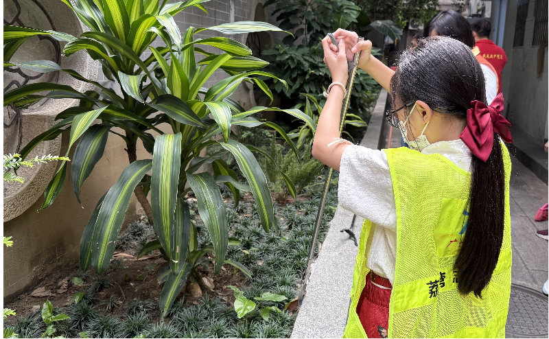 青少年志愿者清理绿化带落叶.jpg