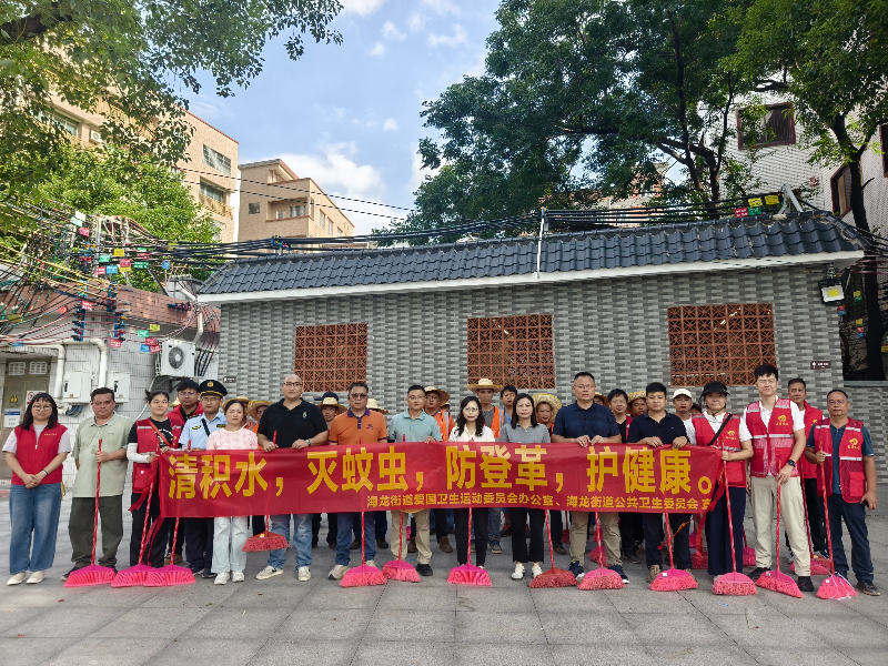海龙街道组织开展爱国卫生统一行动.jpg