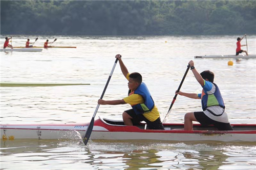 3bf382e56a13485b94469b71d6e47289